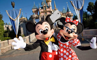 Why are Selfie Sticks Banned in Disney?